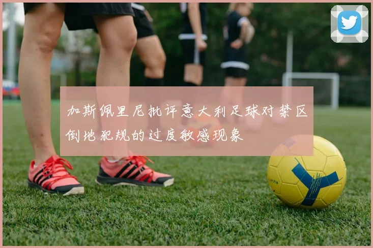 加斯佩里尼批评意大利足球对禁区倒地犯规的过度敏感现象