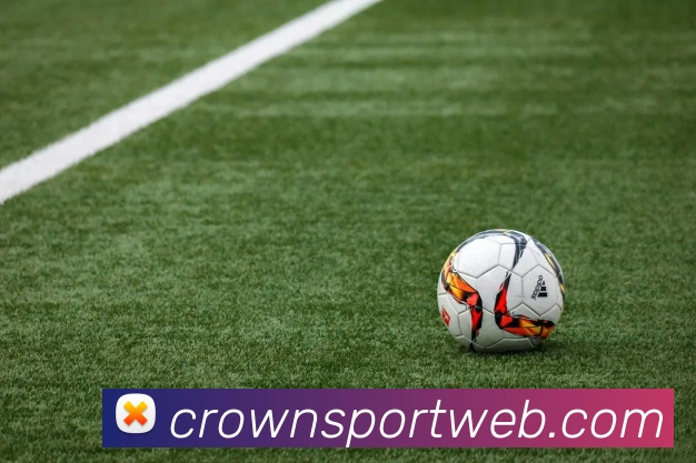 大洛小卡力挺保罗请其作证展现兄弟情深厚情谊